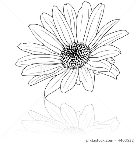vector hand drawn illustration 4403522