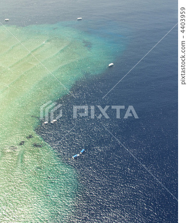 帕勞藍洞藍角航拍照片 4403959