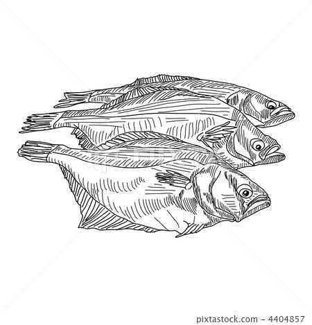 vector drawing hand fish vector drawing hand fish 4404857