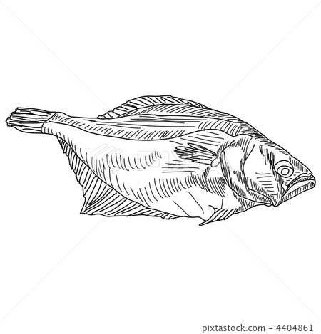 vector drawing hand fish vector drawing hand fish 4404861