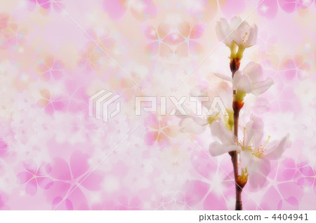櫻花 4404941