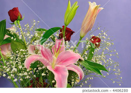 Casablanca and roses 4406280