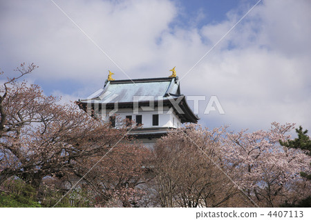 松前城 櫻花 櫻 4407113