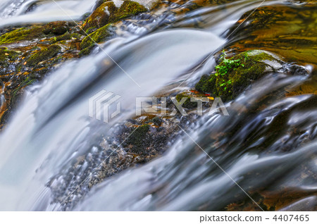 清除流 4407465