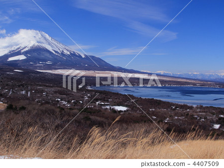 富士高子（山中湖子富士觀） 4407509