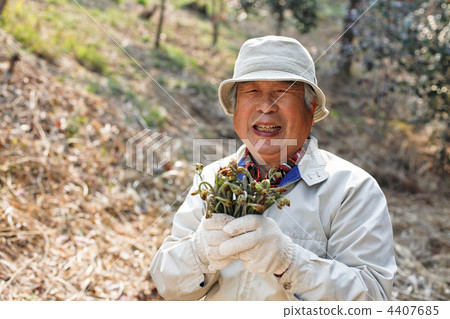 senior, edible wild plants collected, happy 4407685