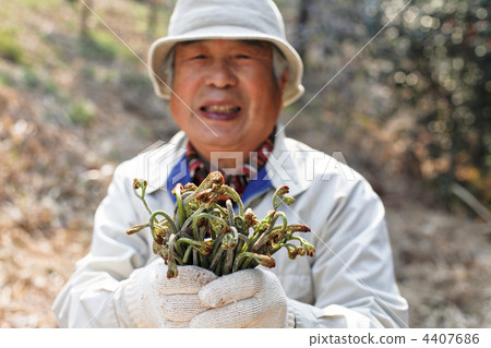 happy, outdoorsy, energy 4407686