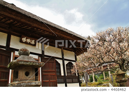 Kamakura / Junkadera Temple Board of Foundation 4408462
