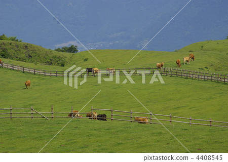 樹木的籬笆是麻生的牧場，就像一個音符 4408545