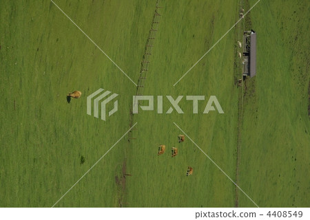 Ranch hut and green grassland Ranch hut and green grassland 4408549