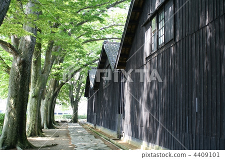 Yamaoku warehouse in early summer 4409101