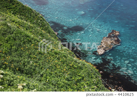 神威岬 斗篷 積丹半島 4410625