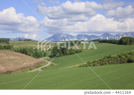 hill, hill of biei, bieicho 4411164