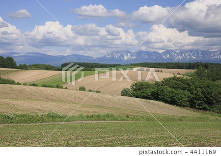 hill, hill of biei, bieicho 4411169