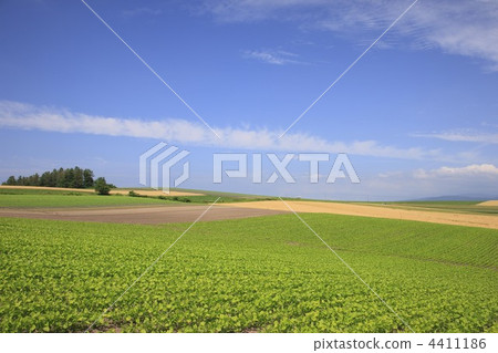 地球 土 土地 4411186