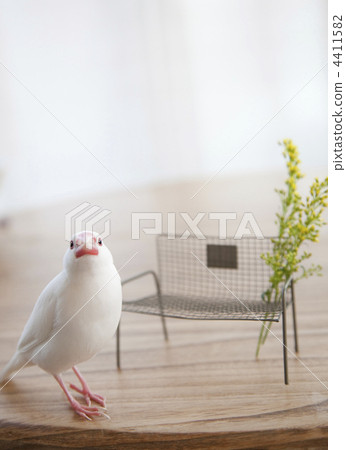 一個白色香蕉和一張小長凳在桌上 一個白色香蕉和一張小長凳在桌上 4411582