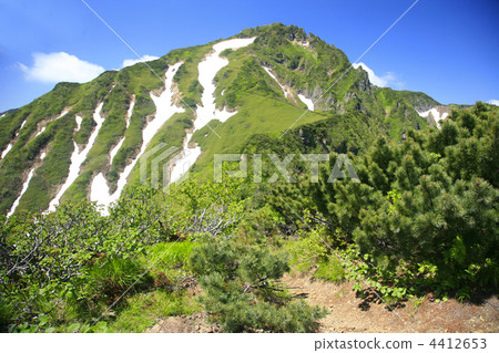 Ashibetsutake, mountain of fresh green 4412653