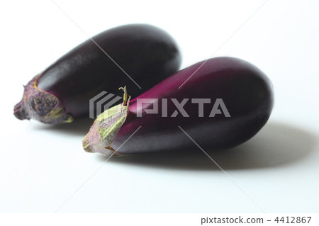 茄子 茄子 4412867
