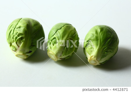 球芽甘藍 球芽甘藍 4412871