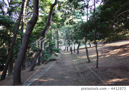 Honmoku Rinkai Park Honmoku Rinkai Park 4412872