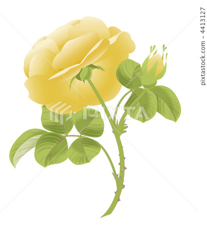 Meissen style yellow rose backwards Meissen style yellow rose backwards 4413127