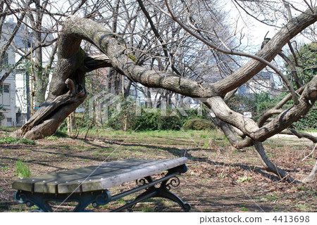 A bent tree A bent tree 4413698