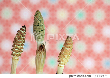 weed, weeds, april 4413995