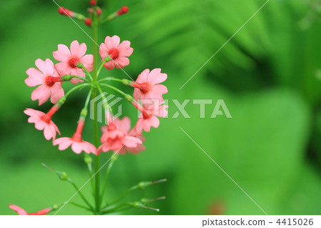 Clinic Clinic 4415026