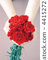 Carnation  4415272