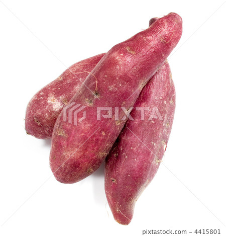 Sweet potato (three) / white back Sweet potato (three) / white back 4415801