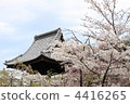 櫻花在仁慈的寺廟 4416265