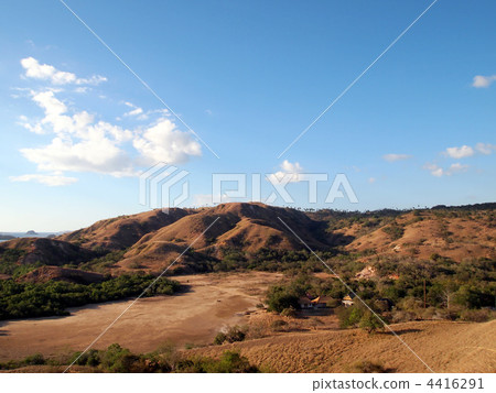 薩凡納 薩凡納 4416291