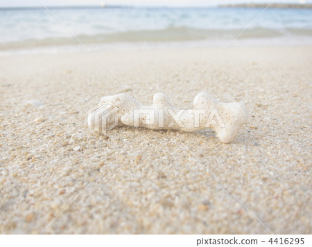 coral, sand beach, sandy beach 4416295