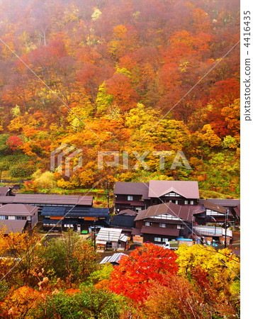 Autumn leaves of Akita Mudu hot spring Autumn leaves of Akita Mudu hot spring 4416435