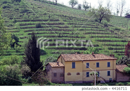 Tuscan field Tuscan field 4416711