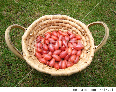 粘性水果。 4416771