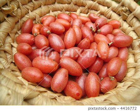 粘性水果。 4416772