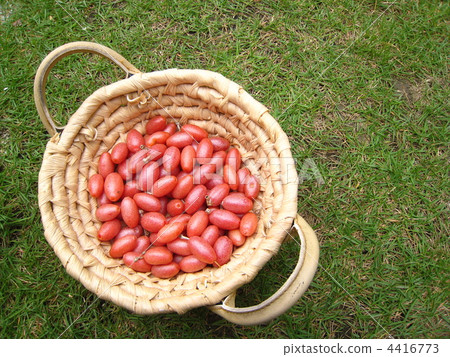 Gummy fruit. Gummy fruit. 4416773