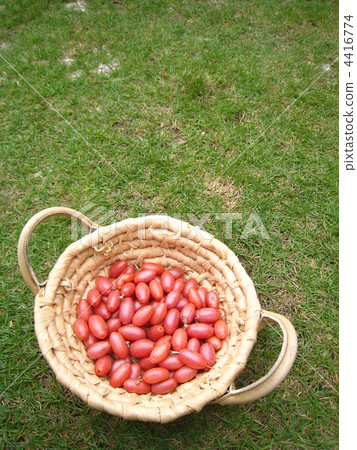 粘性水果。 4416774