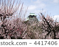 大阪城 梅花 梅 4417406