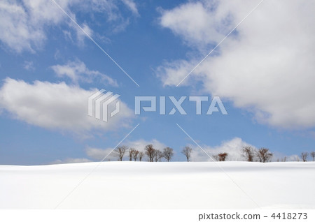 Winter snowy field in Hokkaido 4418273