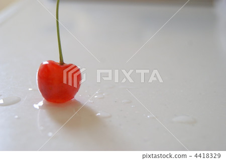 櫻桃 櫻桃 4418329