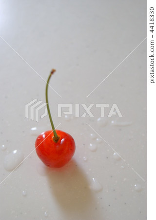 櫻桃 4418330