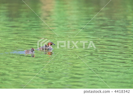 Kaizuburi的父母和孩子 4418342