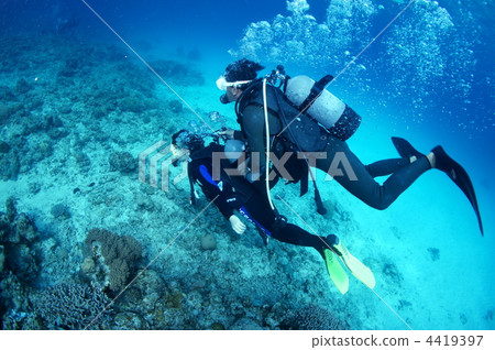 Experience diving Experience diving 4419397