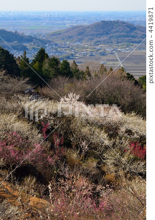 在山里 山林 岩石地帶 4419871