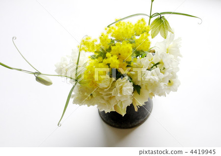 春天白色和黃色花的安排 春天白色和黃色花的安排 4419945