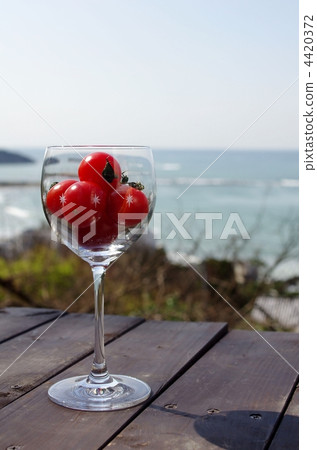 迷你番茄和海岸 迷你番茄和海岸 4420372