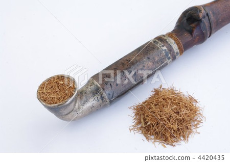 Kicelles和切碎的煙草 4420435