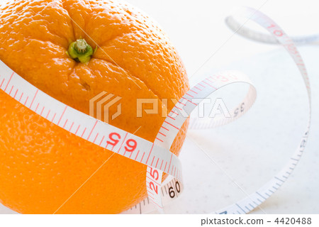 橙色和主要 橙色和主要 4420488